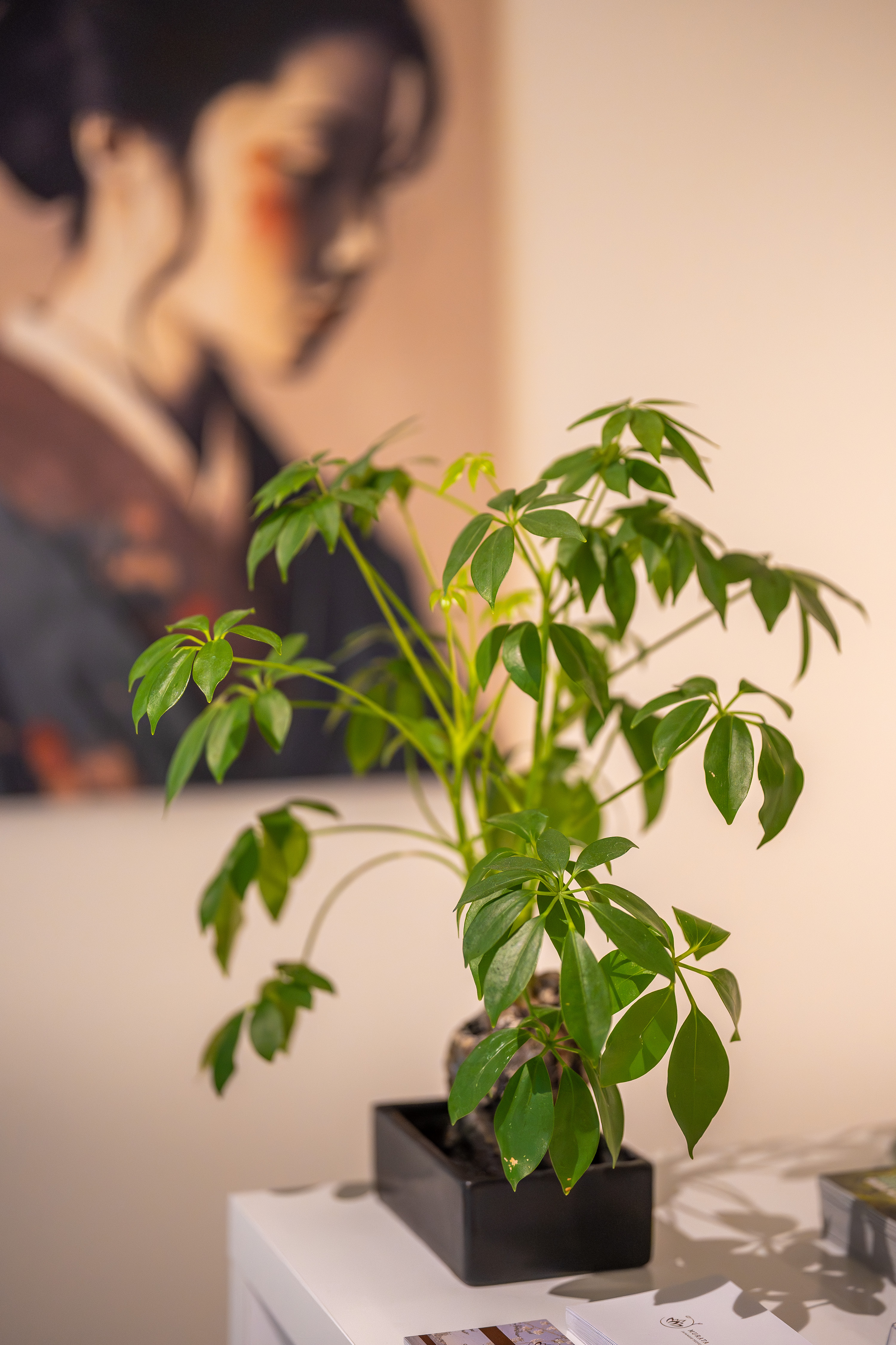 Beeld voor Murata Massage